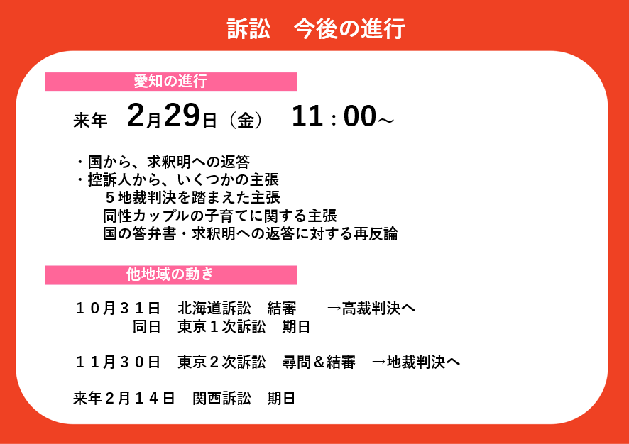 ●訴訟　今後の進行 愛知の進行　来年２月２９日金曜日　１１時から 国から求釈明への返答 控訴人から５地裁判決を踏まえた主張、同性カップルの子育てに関する主張、国の答弁書・求釈明の返答に対する再反論  他地域の動き １０月３１日　北海道訴訟結審　高裁判決へ 同日　東京１時訴訟　期日 １１月３０日　東京２時訴訟　尋問と結審　地裁判決へ 来年２月１４日　関西訴訟　期日