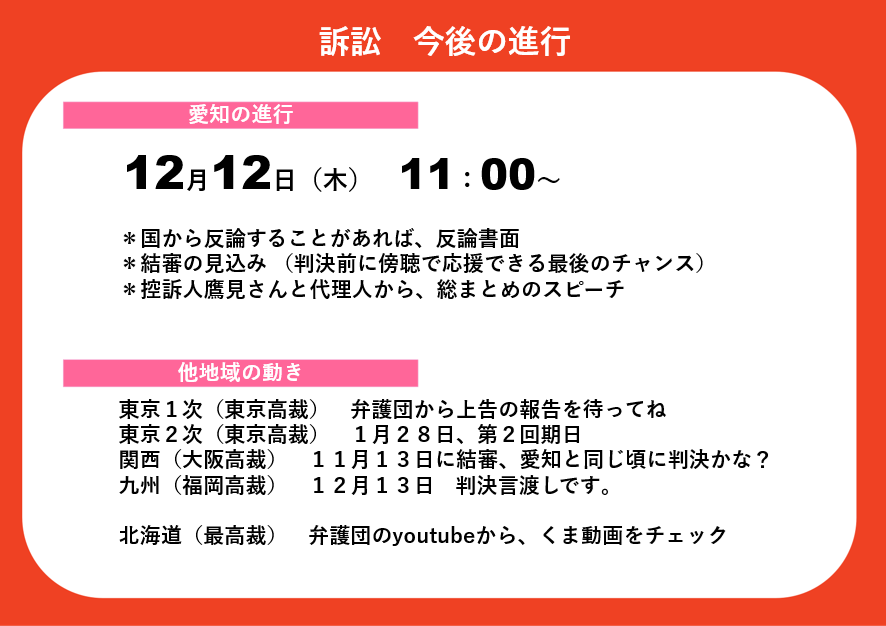 訴訟　今後の進行１２月１２日木曜日　１１時から・国から反論することがあれば、反論書面・結審の見込み（判決前に傍聴で応援できる最後のチャンス）・控訴人鷹見さんと代理人から、総まとめのスピーチ他地域の動き東京１次（東京高裁）　弁護団から上告の報告を待ってね東京２次（東京高裁）　１月２８日、第２回期日関西（大阪高裁）　１１月１３日に結審、愛知と同じ頃に判決かな？九州（福岡高裁）　１２月１３日　判決言渡しです。北海道（最高裁）　弁護団のYouTubeから、くま動画をチェック