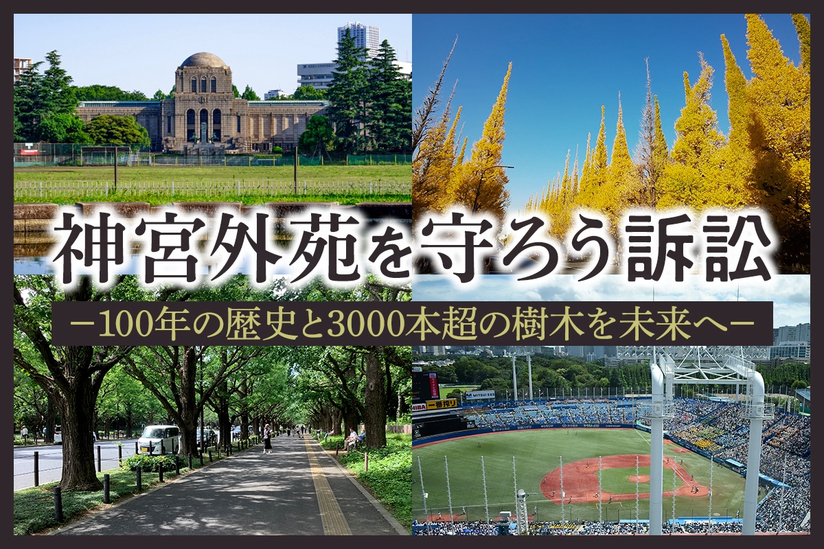 神宮外苑を守ろう訴訟｜年の歴史と本超の樹木を未来へ｜公共